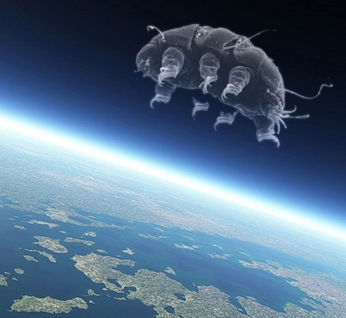 tardigrade space