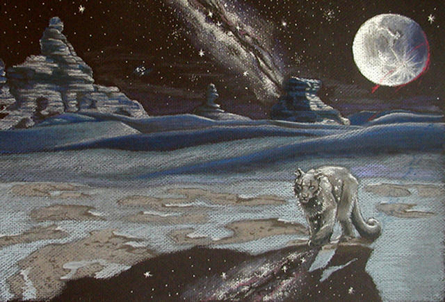 Kathryn Stella: Embers, Sand Cat Vision